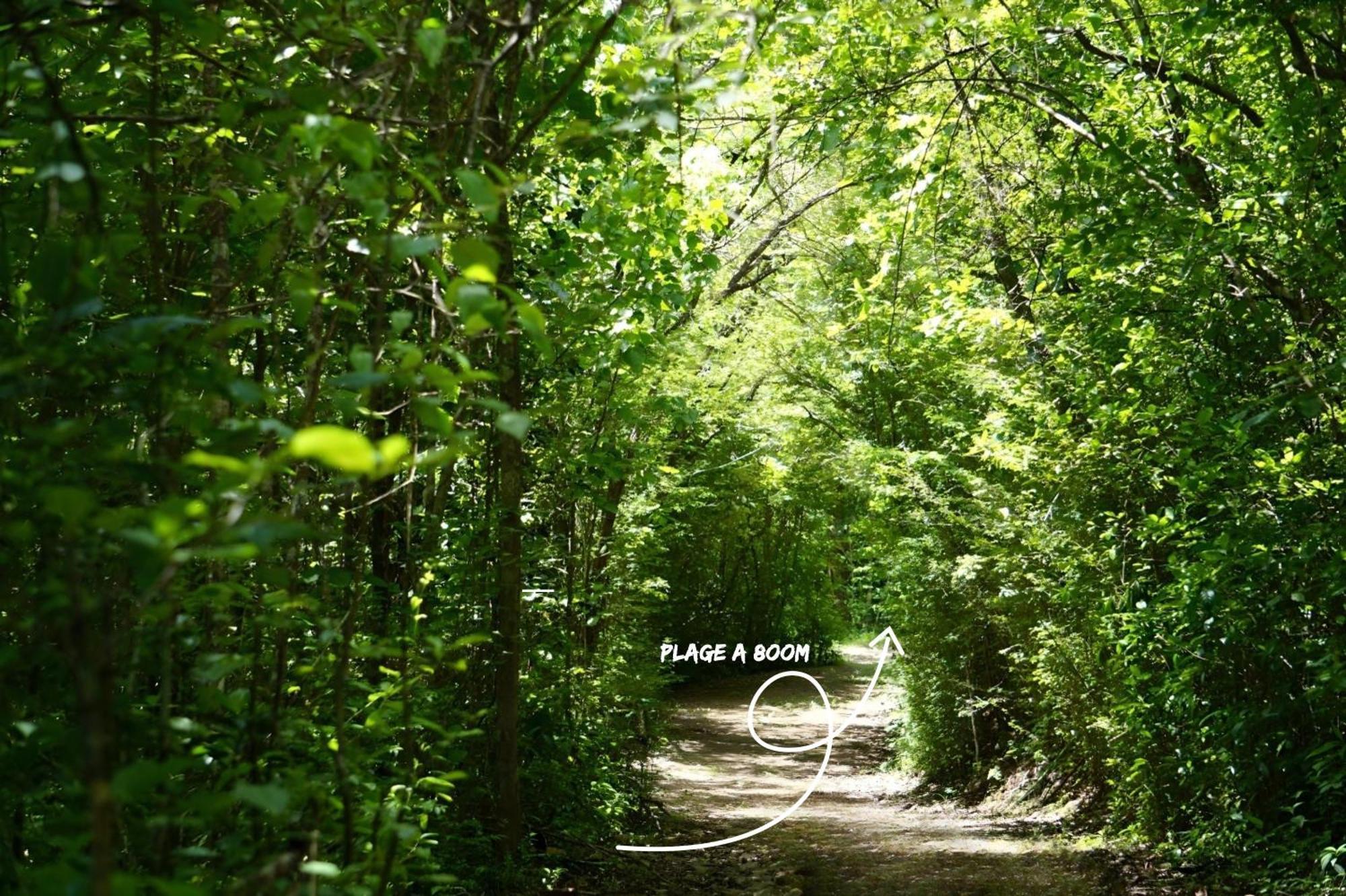 Domaine De L'Anse Ramier Aparthotel Les Trois-Ilets Kültér fotó